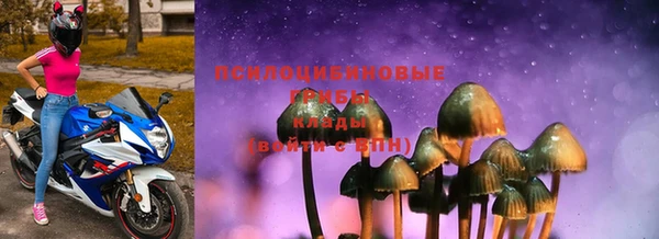 твердый Медвежьегорск