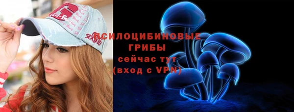 твердый Медвежьегорск