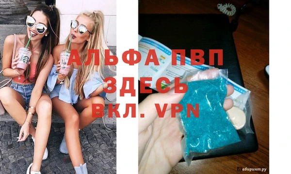 сатива Мегион
