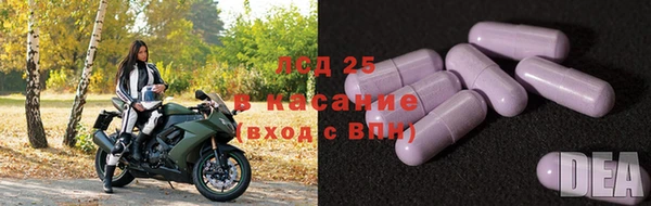 сатива Мегион
