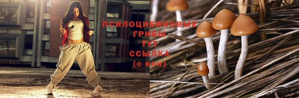 прущая мука Медногорск